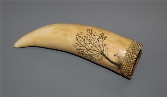 A 19th century scrimshaw sperm whale tooth,